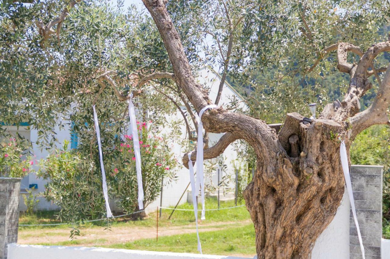 Appartamento Mikres Kyklades Skala Potamia (Thasos)